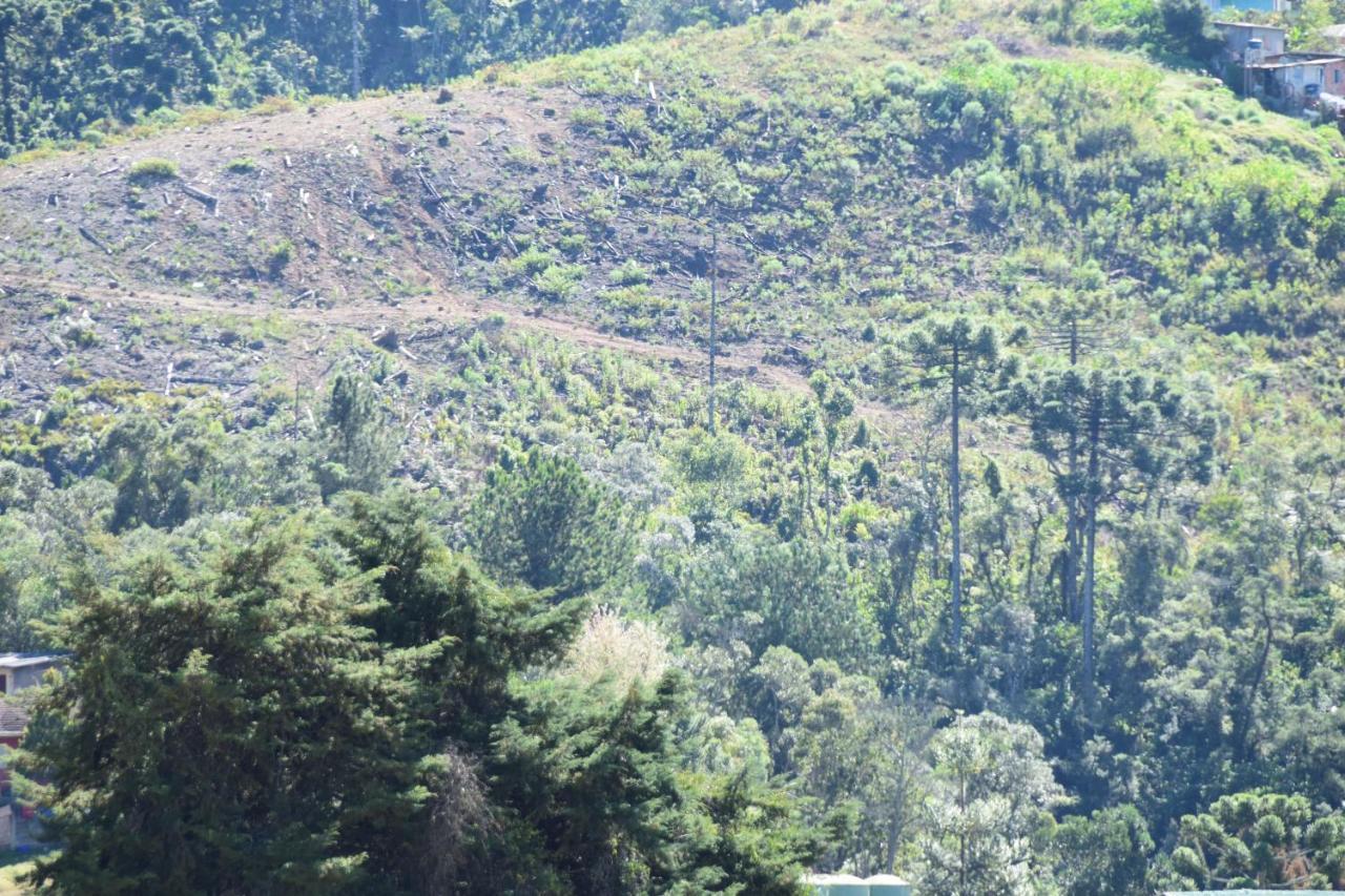Pousada Campos Do Jordao Ngoại thất bức ảnh